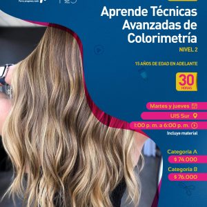 Aprende técnicas avanzadas de colorimetría - Nivel 2